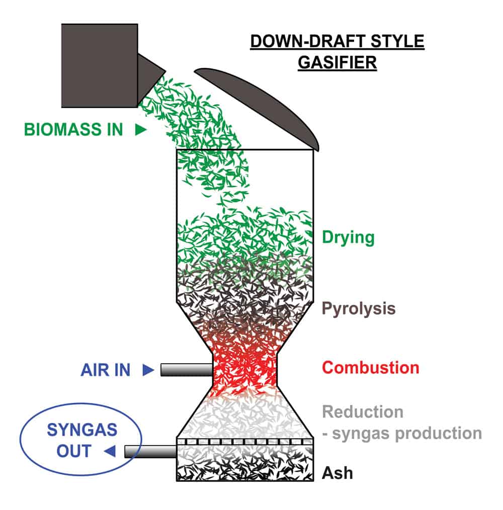 book the structure biosynthesis and degradation of